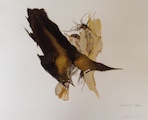 Nature morte II