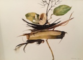 Nature morte V