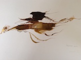 Homard I